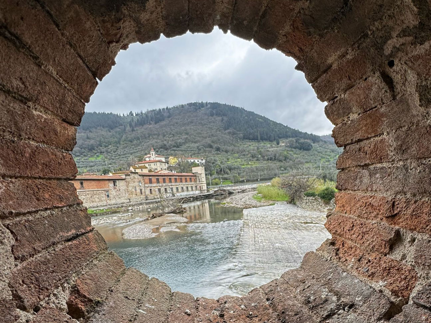 Cavalciotto